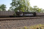 NS 10079